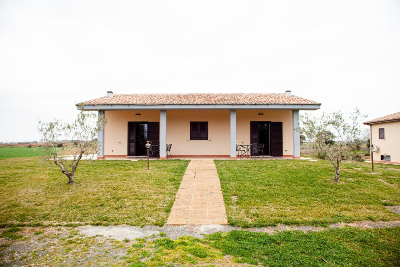 Podere Giovanni Olivo Tarquinia Exterior photo